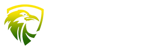Raven Eye Engineering Ltd
